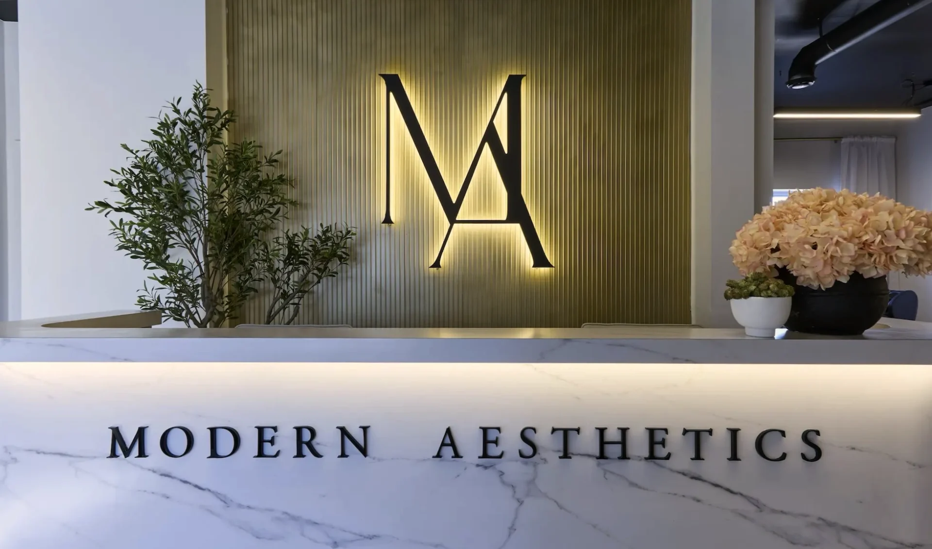 Modern Aesthetics Canada